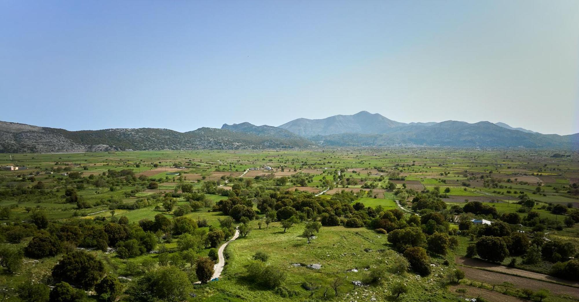 Mylostassi Villas With Balcony Plunge Pool Plati  Екстериор снимка